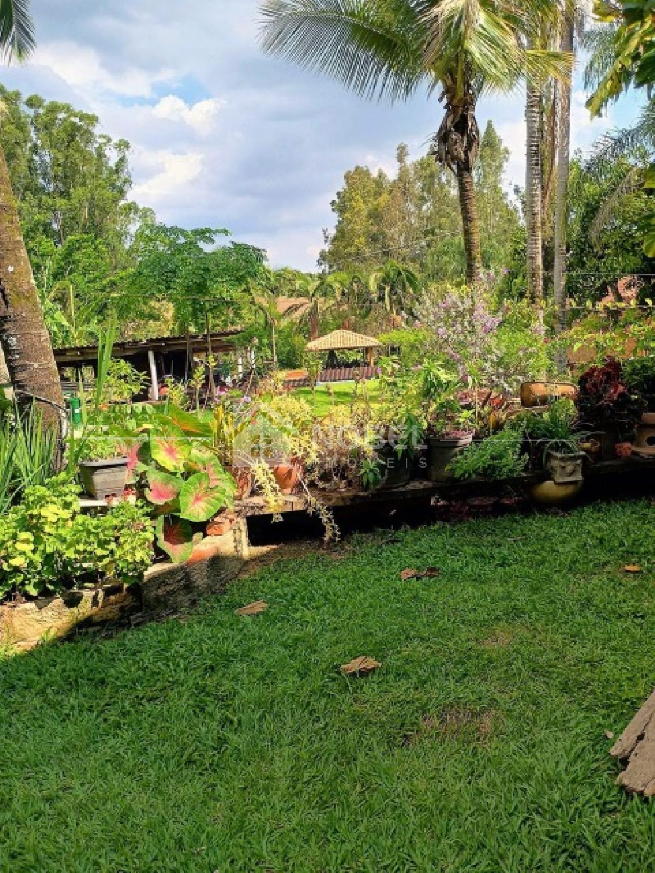 Sítio, 3 quartos, 3 hectares - Foto 9