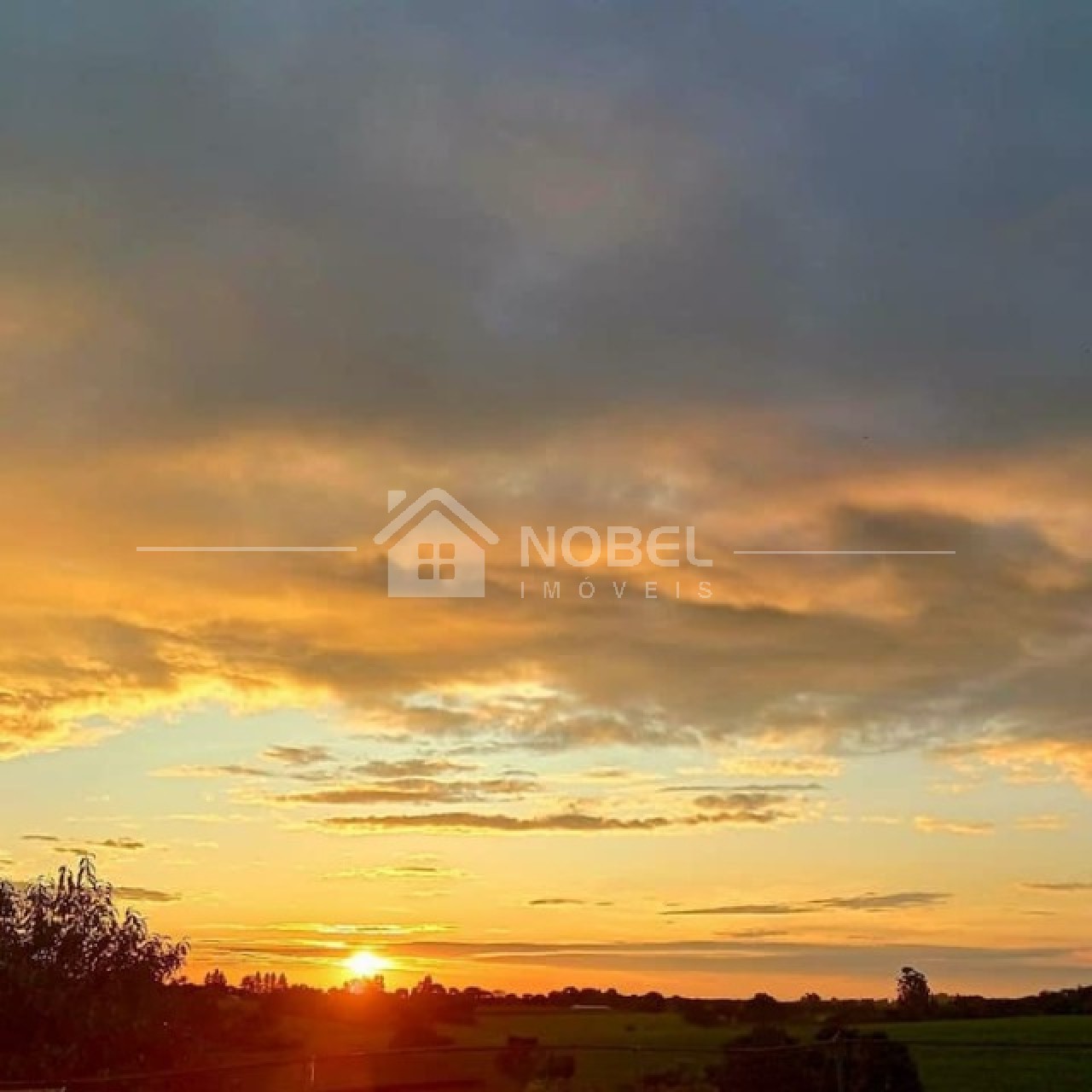 Chácara, 5 quartos, 8216 m² - Foto 2