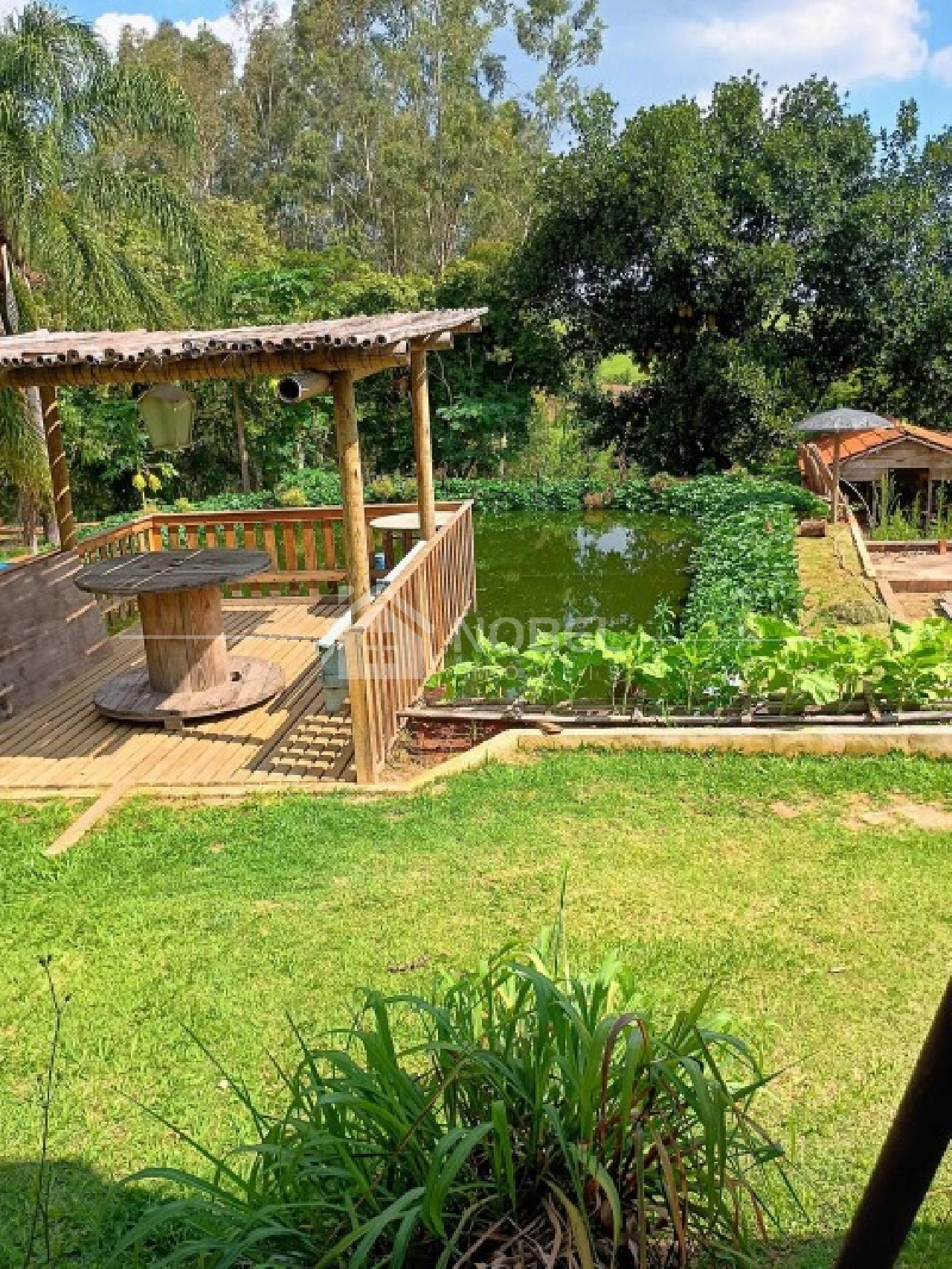 Sítio, 3 quartos, 3 hectares - Foto 26