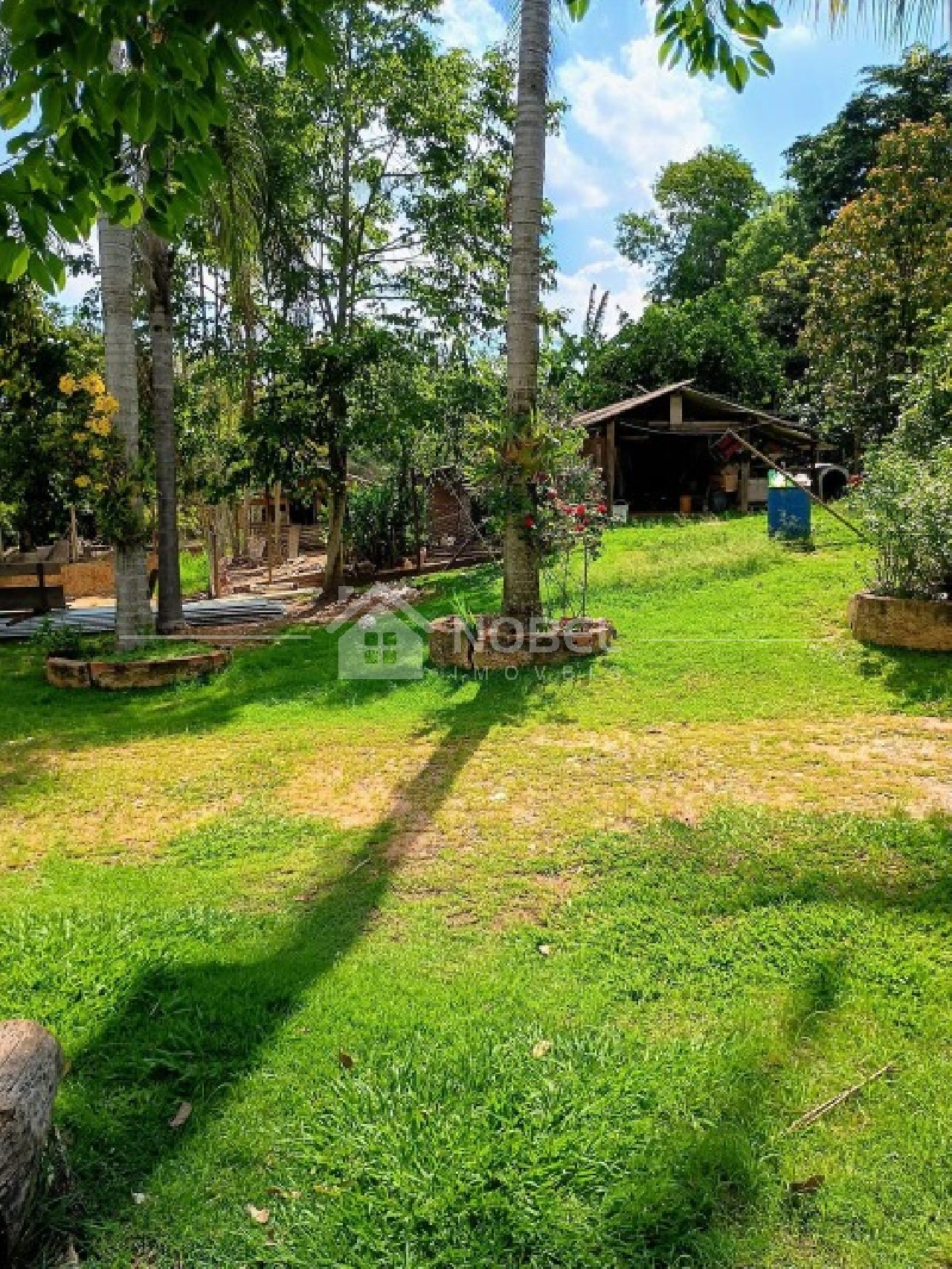 Sítio, 3 quartos, 3 hectares - Foto 15