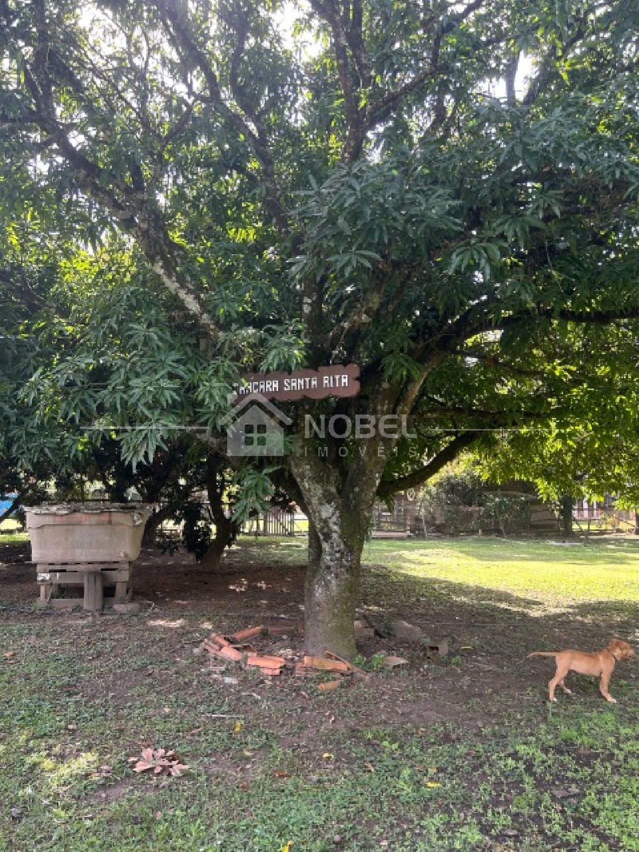 Chácara, 10 quartos - Foto 3