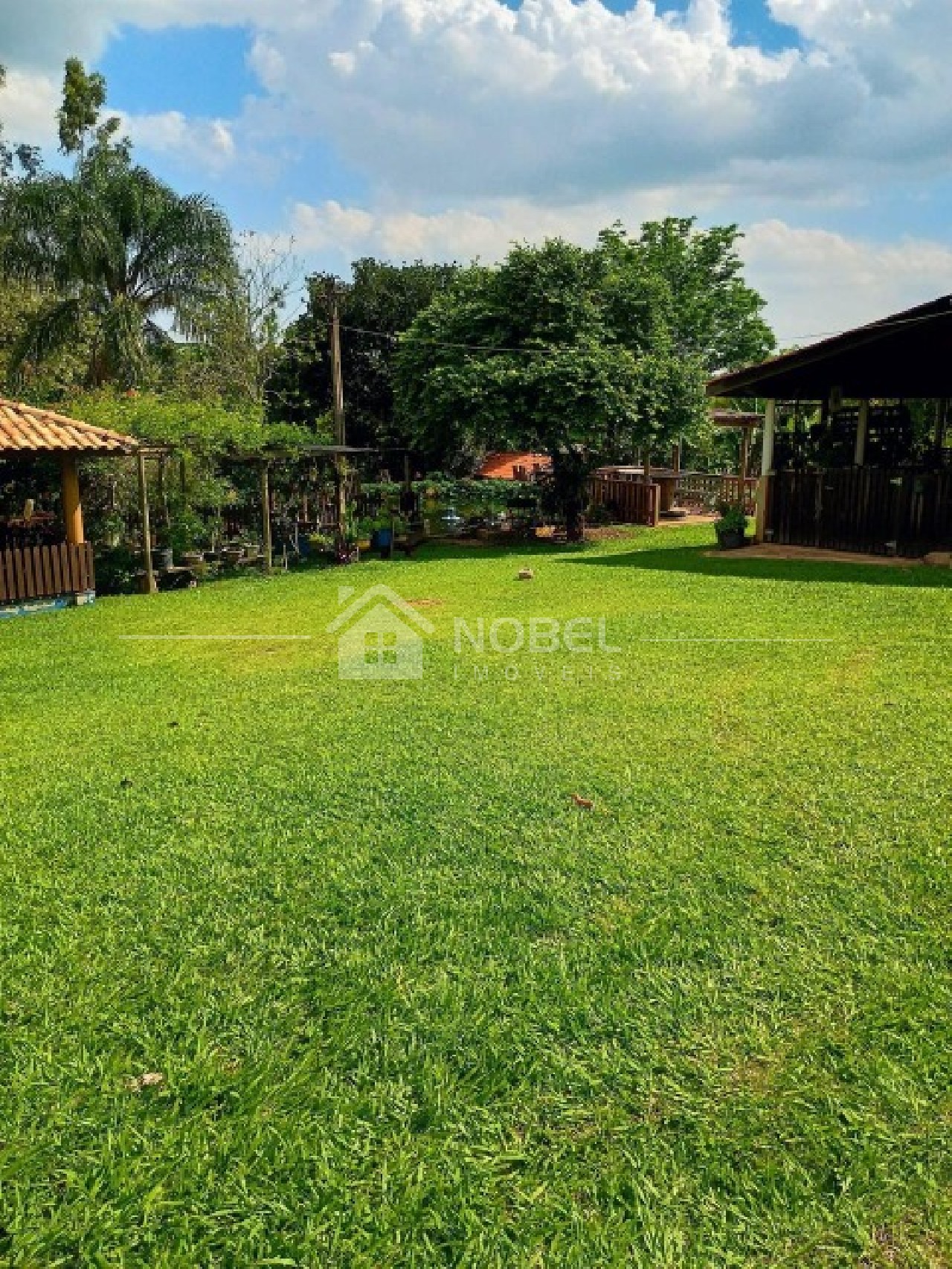 Sítio, 3 quartos, 3 hectares - Foto 19