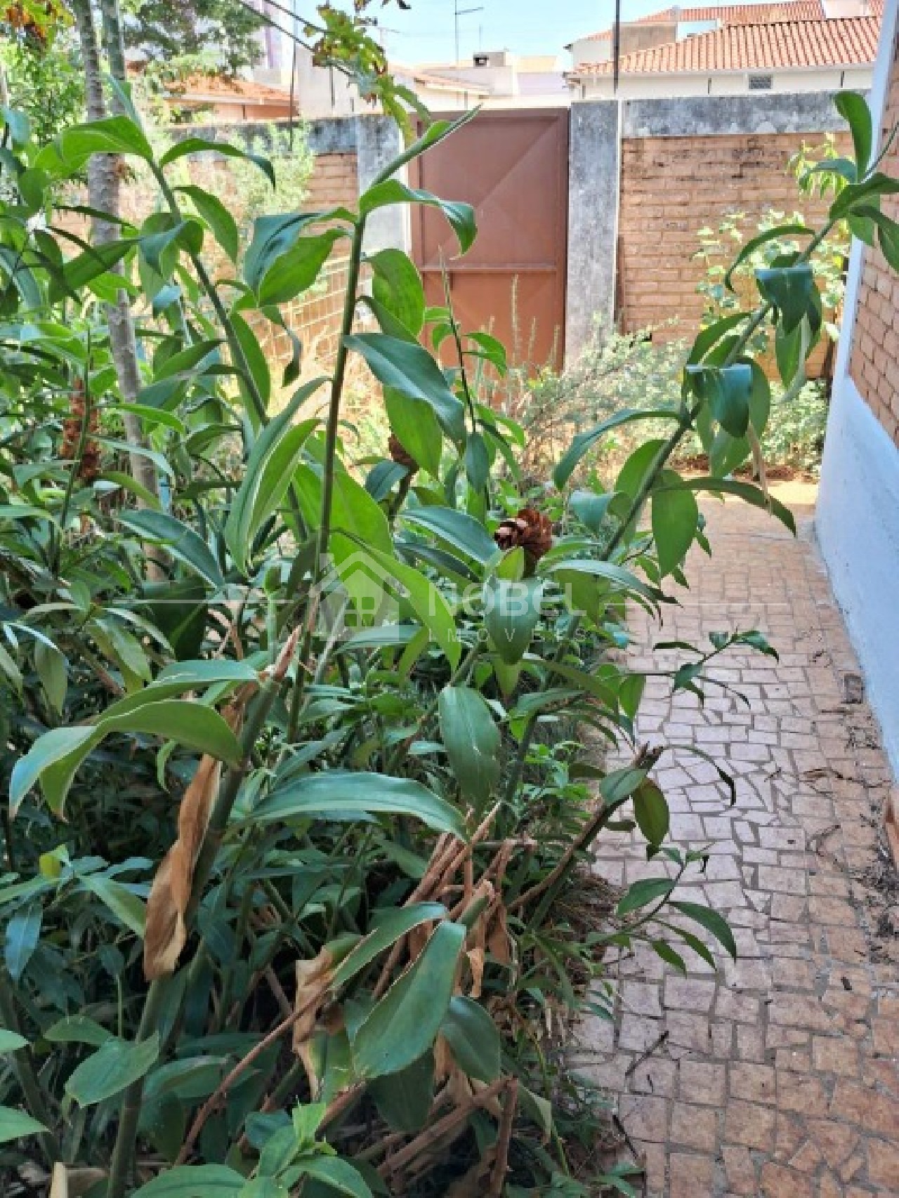 Casa, 4 quartos - Foto 13