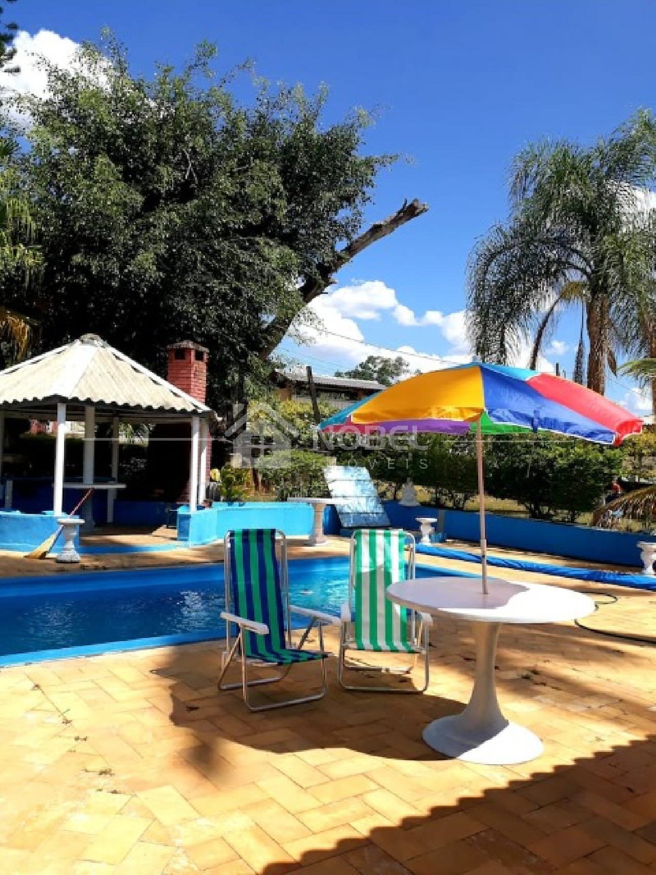 Chácara, 5 quartos, 8216 m² - Foto 42