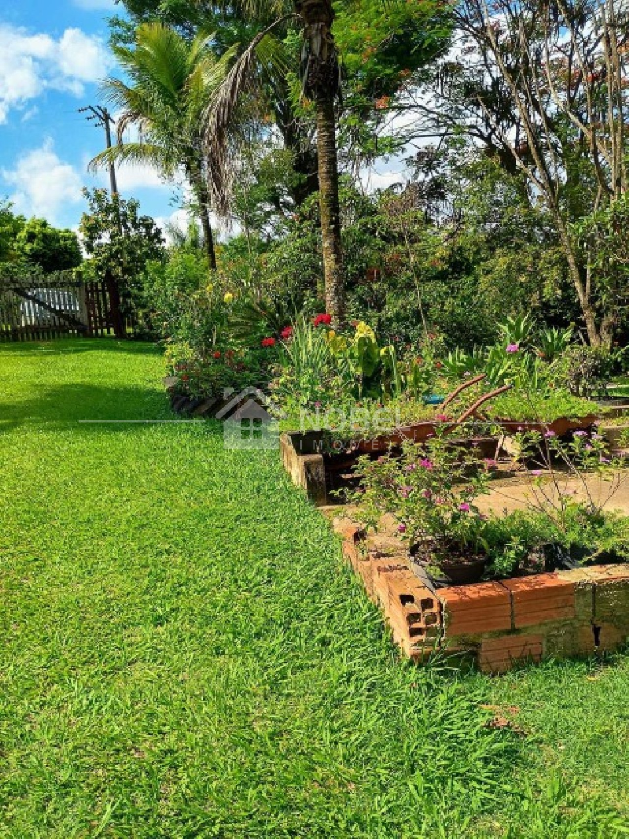 Sítio, 3 quartos, 3 hectares - Foto 17