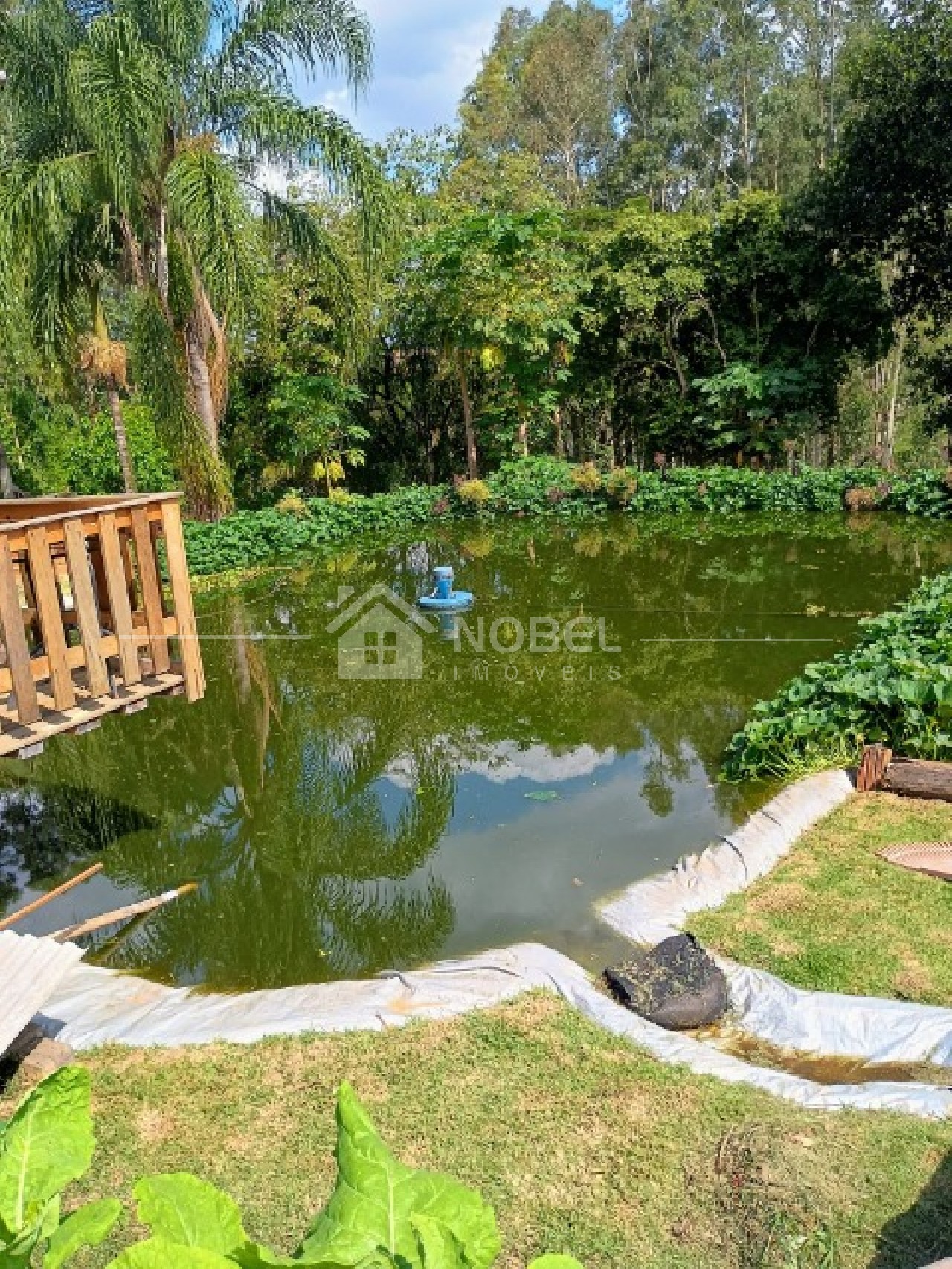 Sítio, 3 quartos, 3 hectares - Foto 1