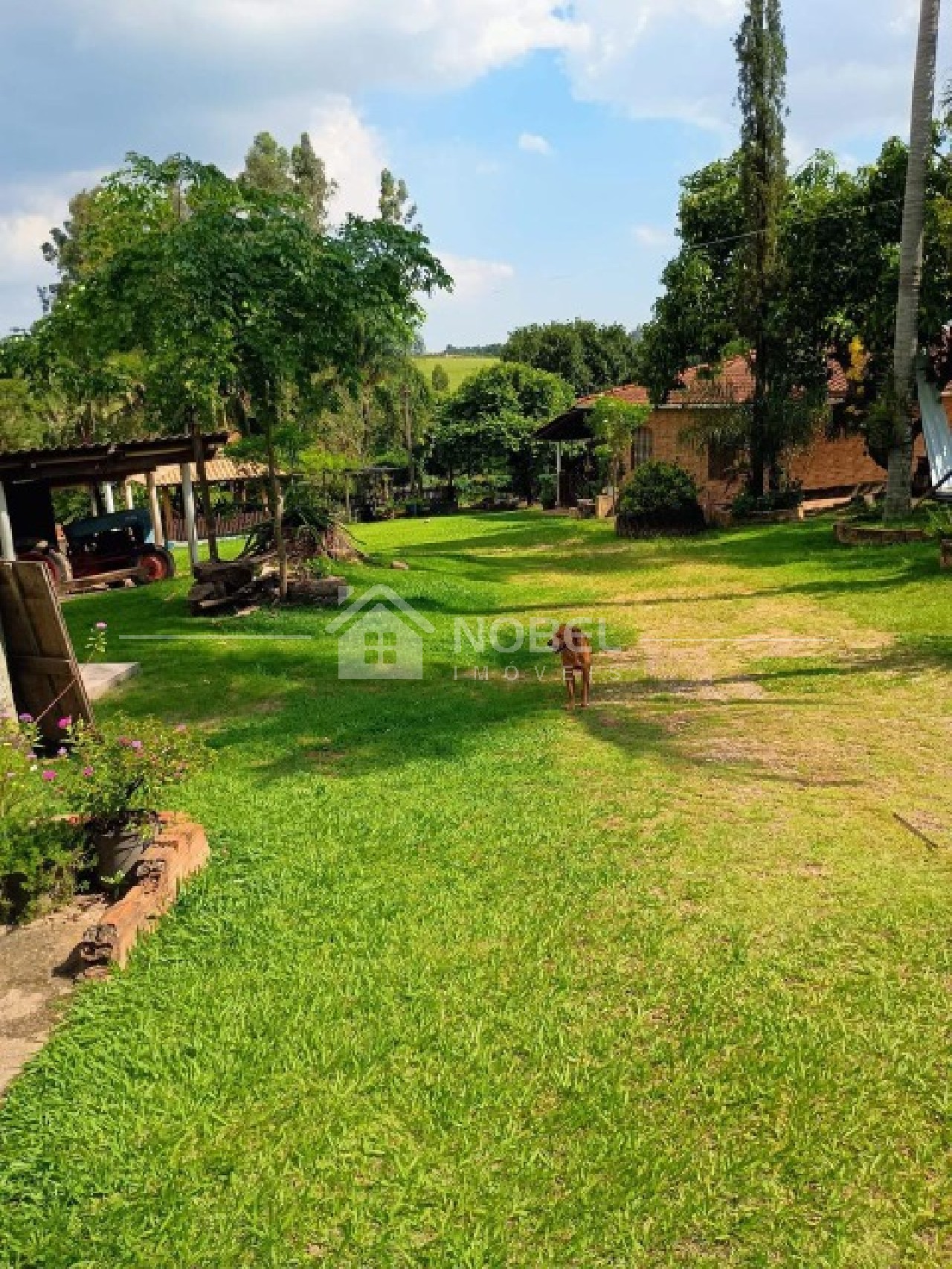 Sítio, 3 quartos, 3 hectares - Foto 14