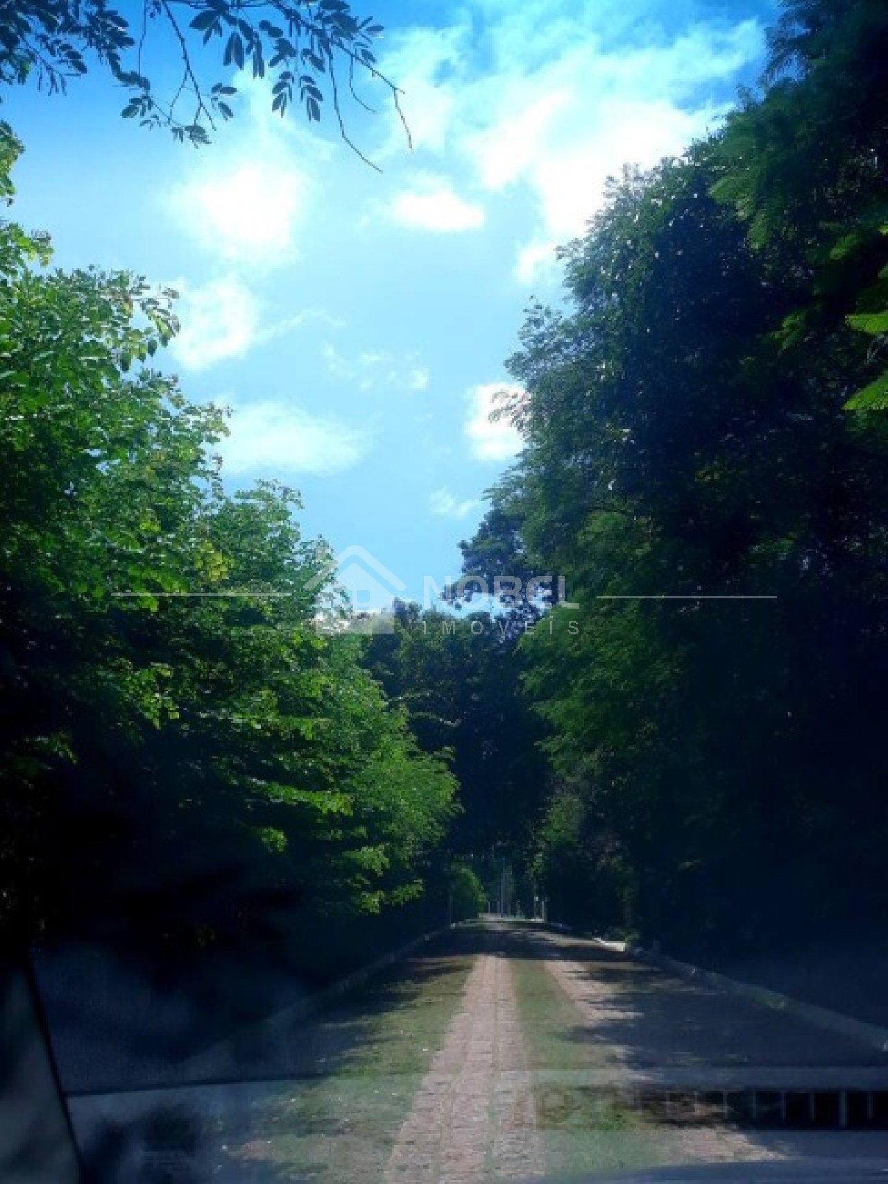 Chácara, 5 quartos, 8216 m² - Foto 36