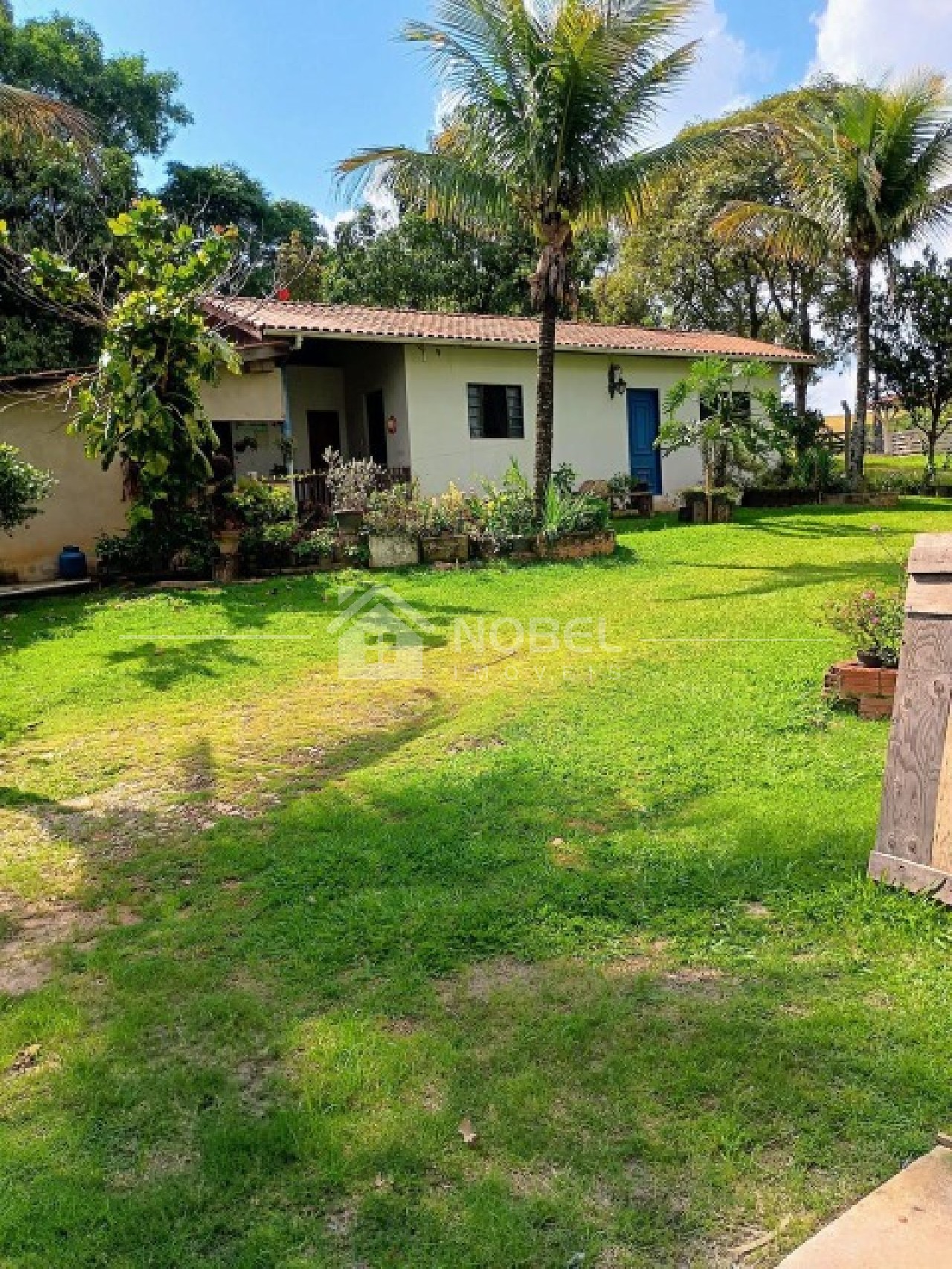 Sítio, 3 quartos, 3 hectares - Foto 6