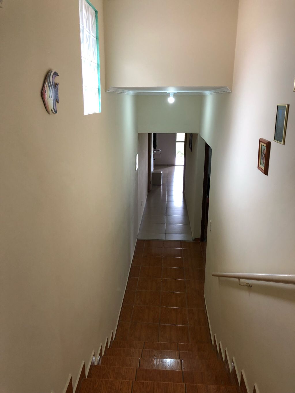 Fazenda à venda com 3 quartos, 750m² - Foto 23