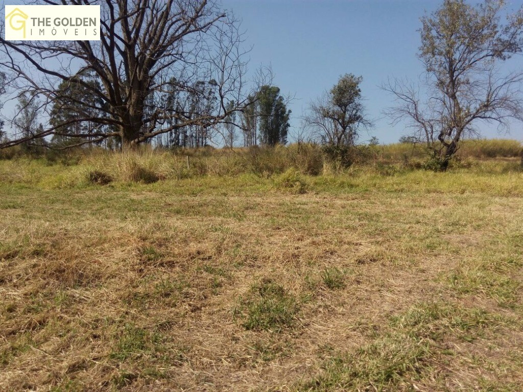 Fazenda à venda com 4 quartos, 300m² - Foto 3