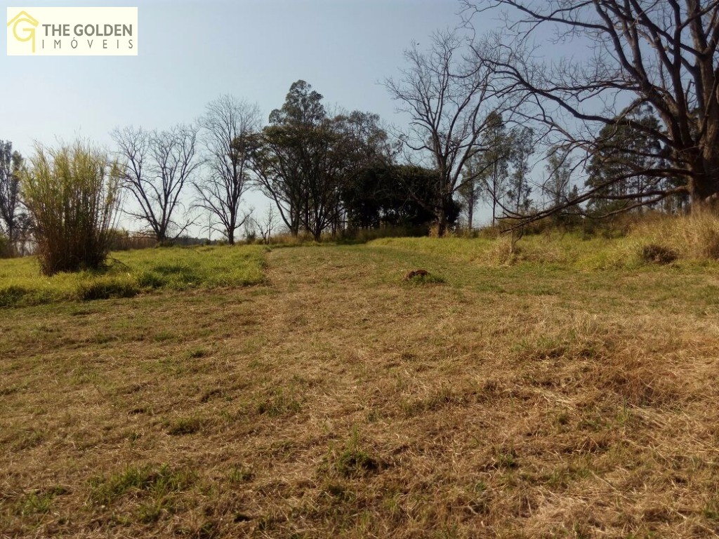 Fazenda à venda com 4 quartos, 300m² - Foto 6