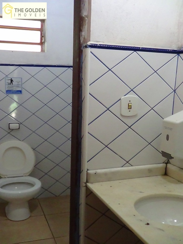 Fazenda à venda com 3 quartos, 980m² - Foto 19