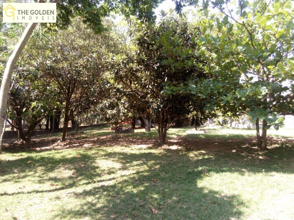 Fazenda à venda com 3 quartos, 4500m² - Foto 6