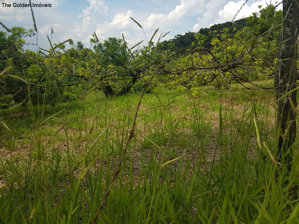 Terreno à venda, 5770m² - Foto 2