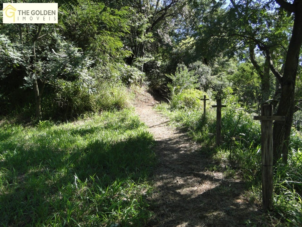 Fazenda à venda com 12 quartos, 24580m² - Foto 12