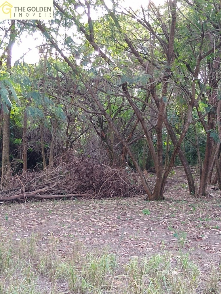 Terreno à venda, 26400m² - Foto 3