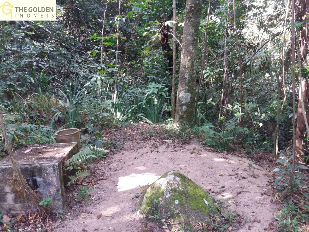 Fazenda à venda com 4 quartos, 430m² - Foto 6