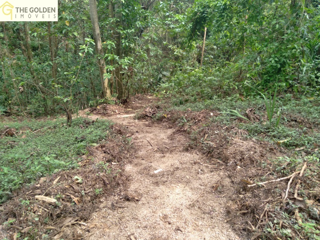 Fazenda à venda com 4 quartos, 430m² - Foto 12