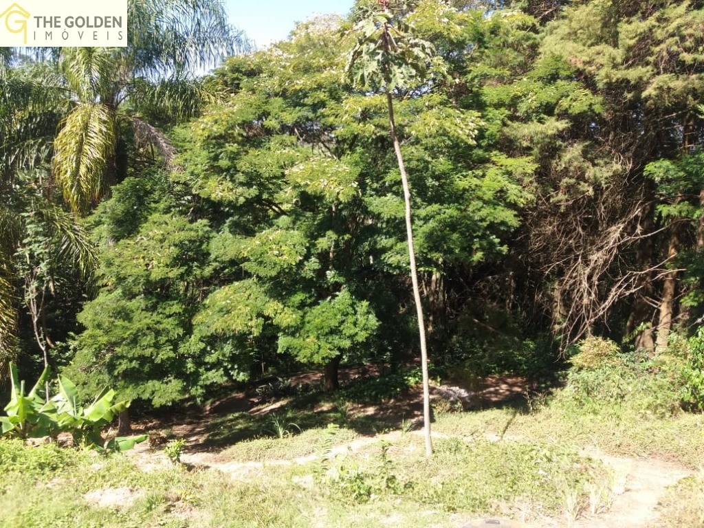 Fazenda à venda com 4 quartos, 430m² - Foto 42