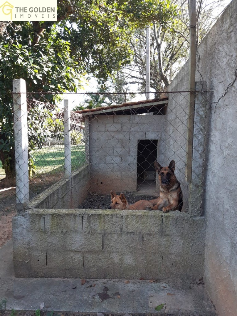 Fazenda à venda com 3 quartos, 3264m² - Foto 3