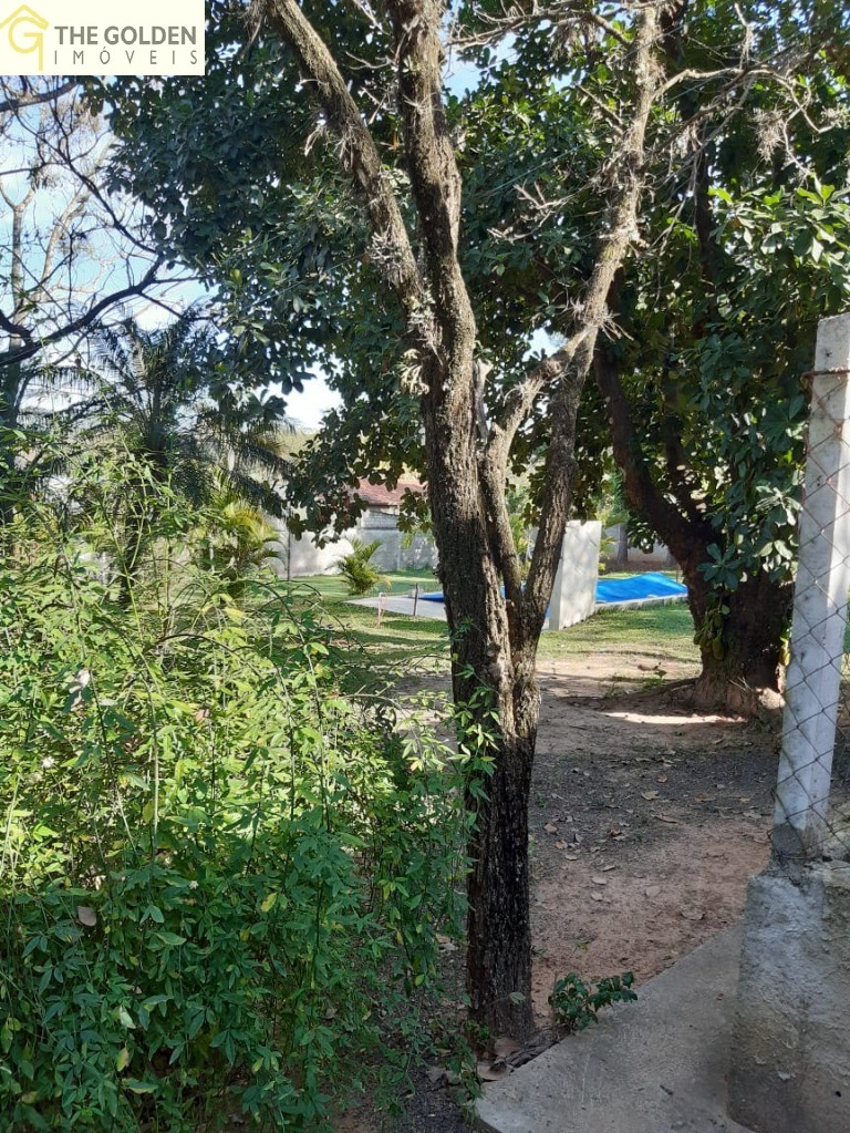 Fazenda à venda com 3 quartos, 3264m² - Foto 2