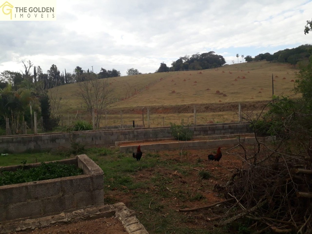 Fazenda à venda com 3 quartos, 120m² - Foto 15