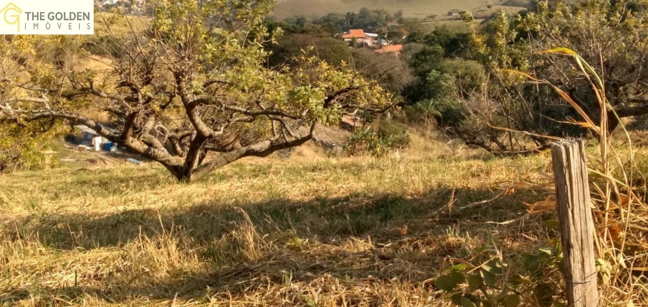 Terreno à venda, 5770m² - Foto 8