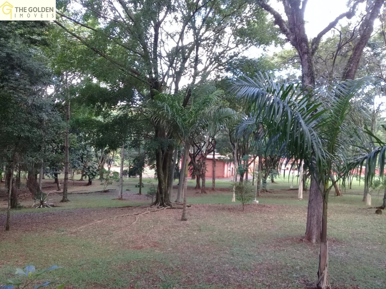 Fazenda à venda com 3 quartos, 180m² - Foto 4