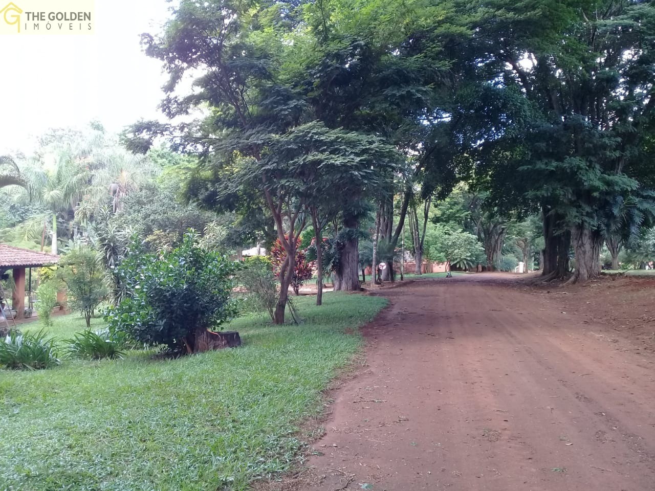 Fazenda à venda com 3 quartos, 180m² - Foto 3