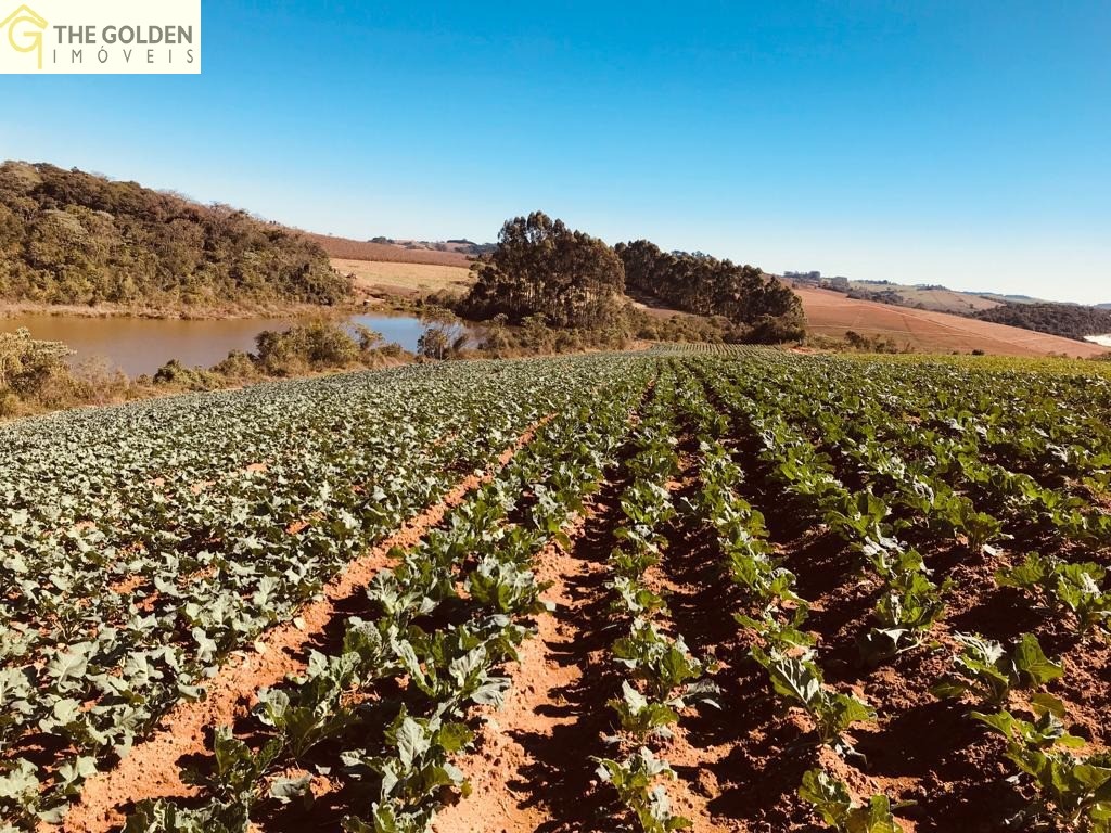 Fazenda à venda com 3 quartos, 73000m² - Foto 1