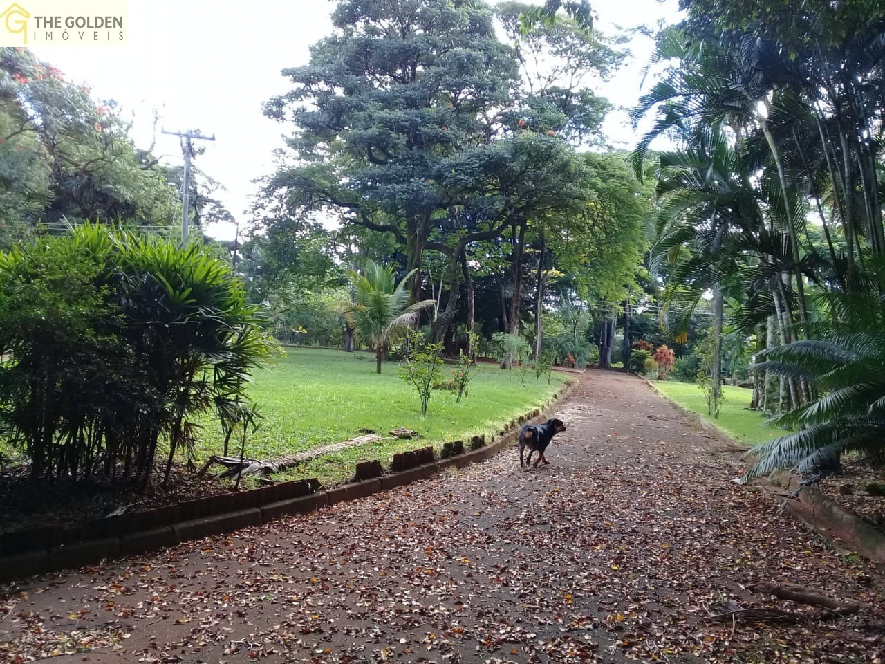 Fazenda à venda com 3 quartos, 180m² - Foto 19