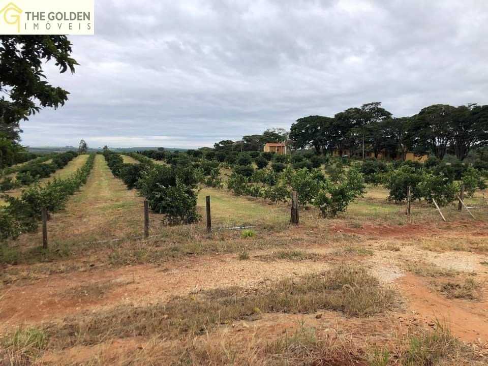 Fazenda-Sítio-Chácara, 39 hectares - Foto 4