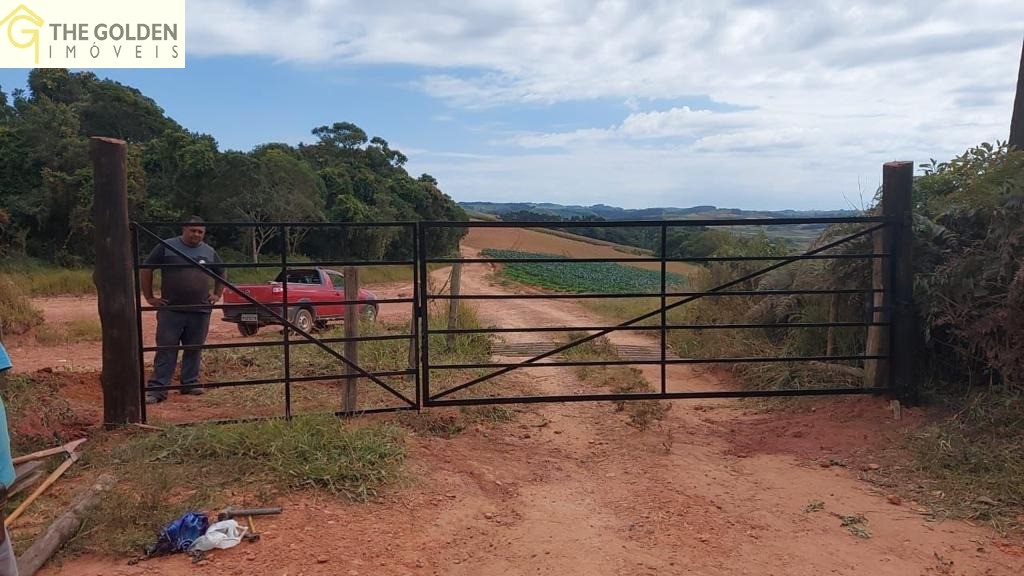 Fazenda à venda com 3 quartos, 73000m² - Foto 7