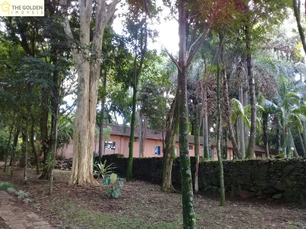 Fazenda à venda com 3 quartos, 180m² - Foto 17