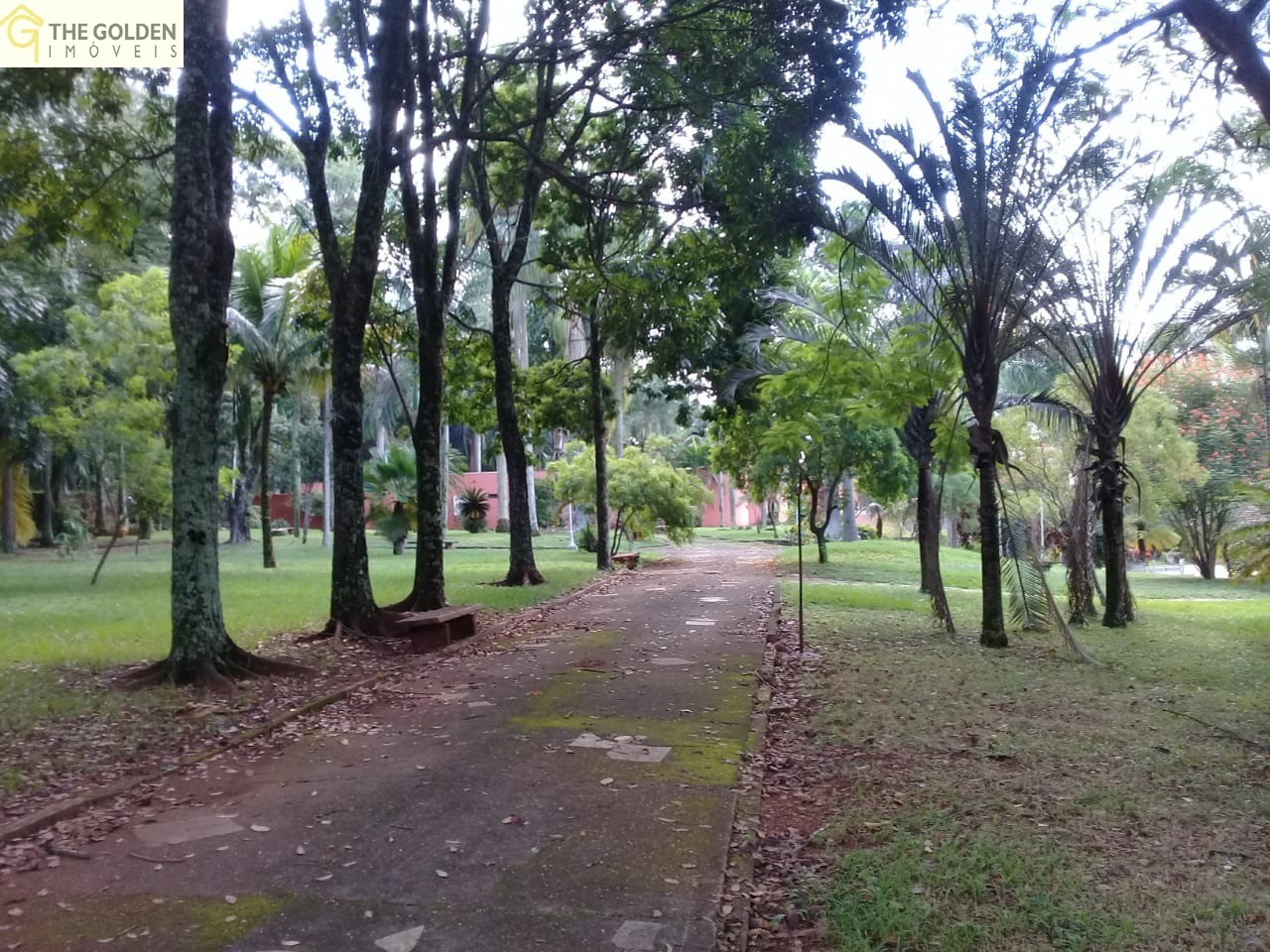 Fazenda à venda com 3 quartos, 180m² - Foto 16