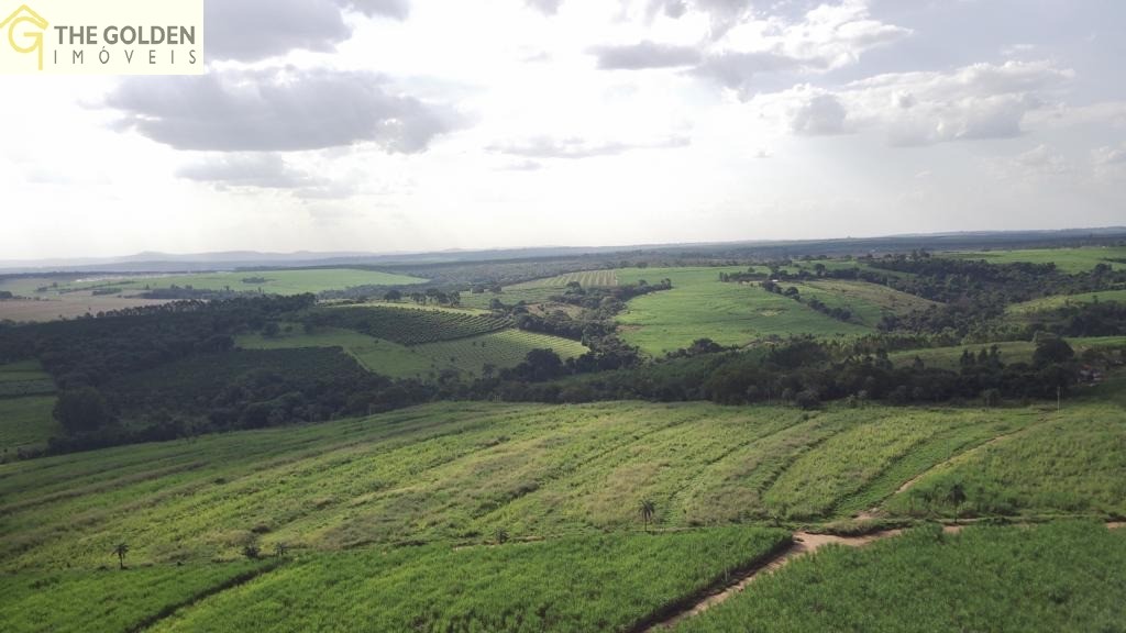 Fazenda à venda com 3 quartos, 35m² - Foto 5