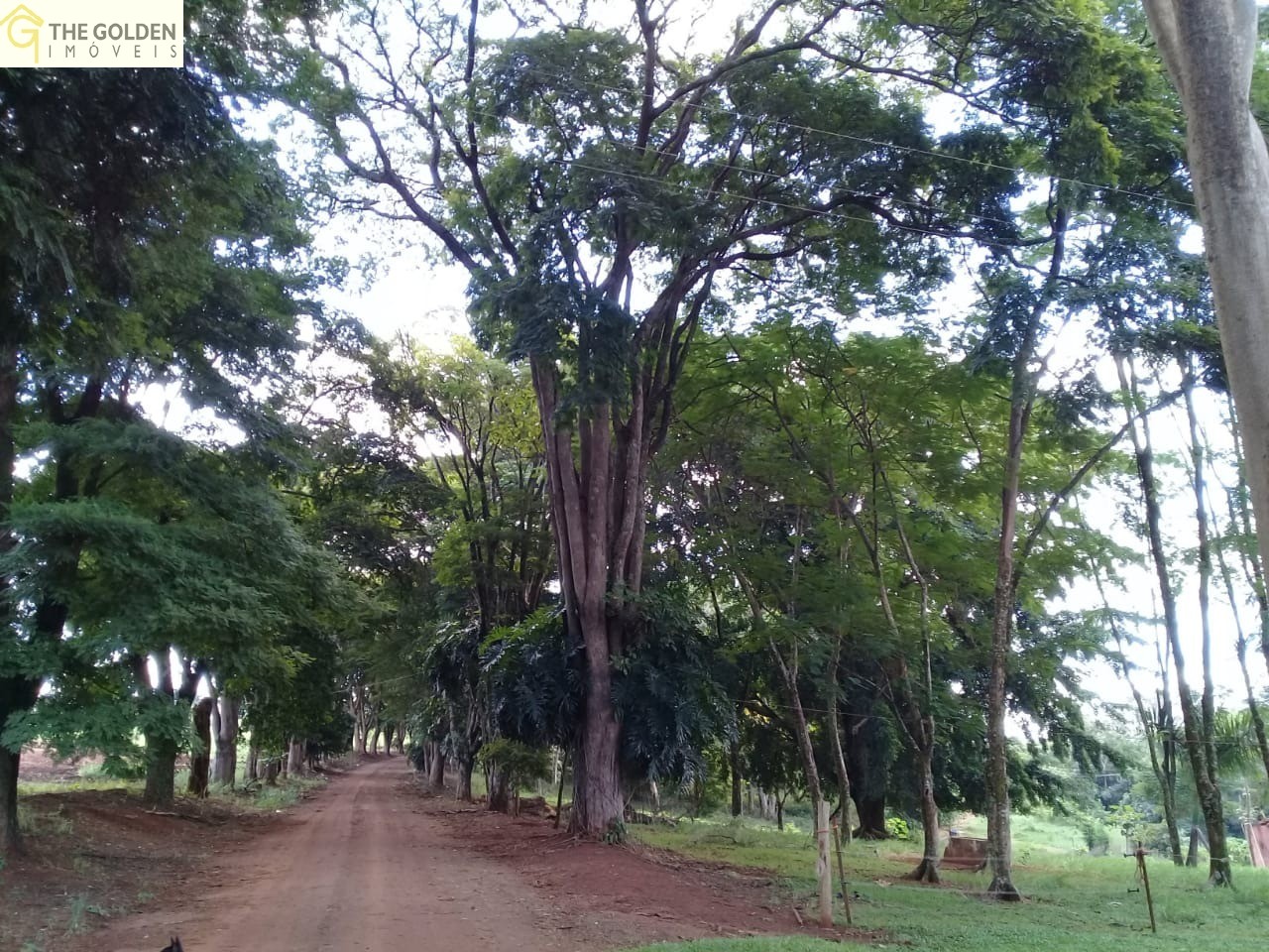 Fazenda à venda com 3 quartos, 180m² - Foto 7