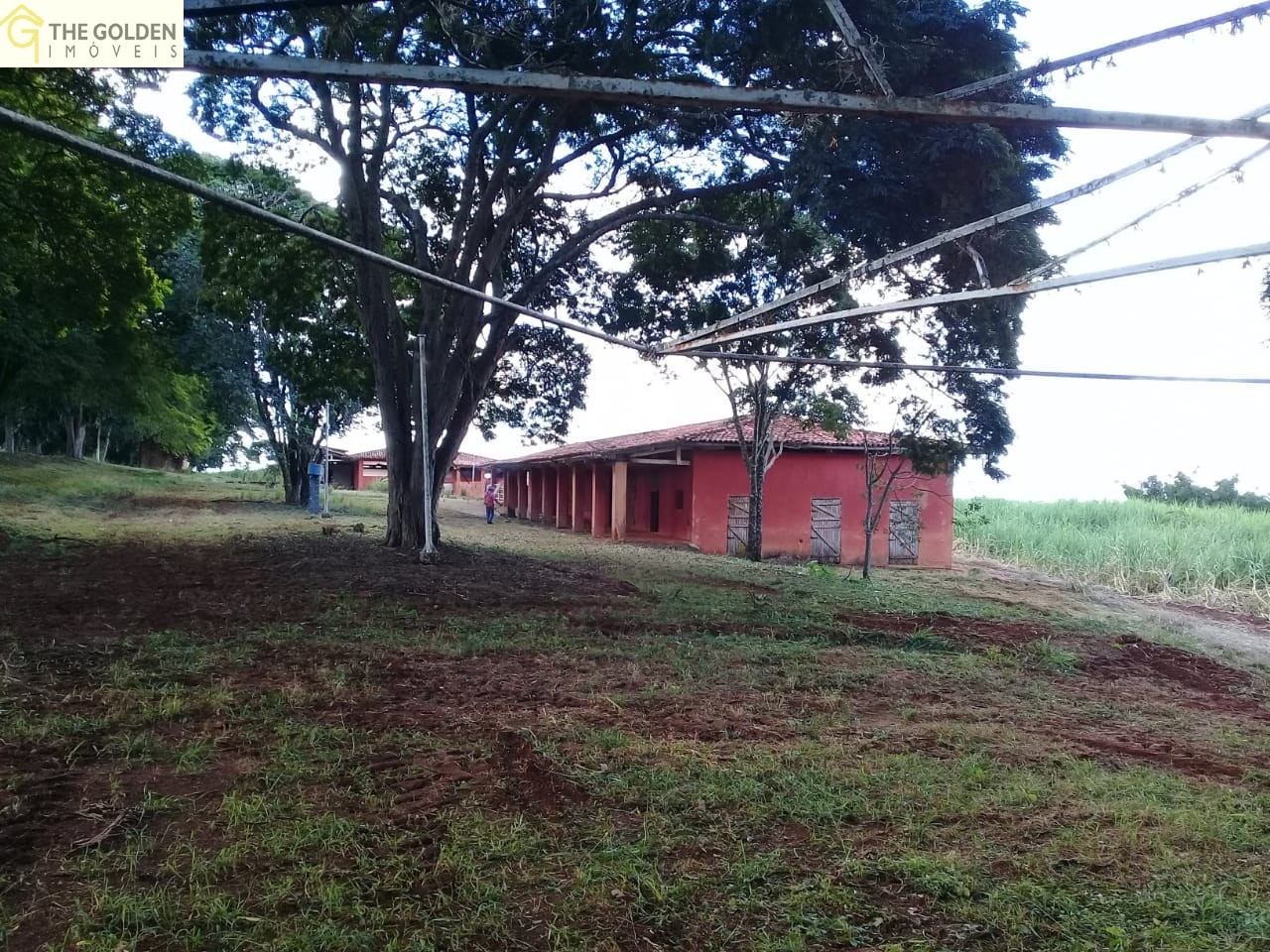 Fazenda à venda com 3 quartos, 180m² - Foto 21