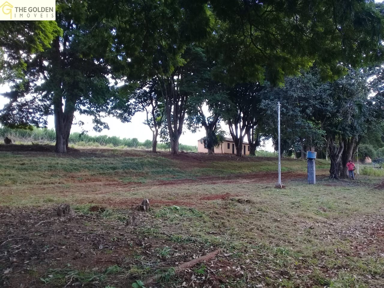 Fazenda à venda com 3 quartos, 180m² - Foto 5