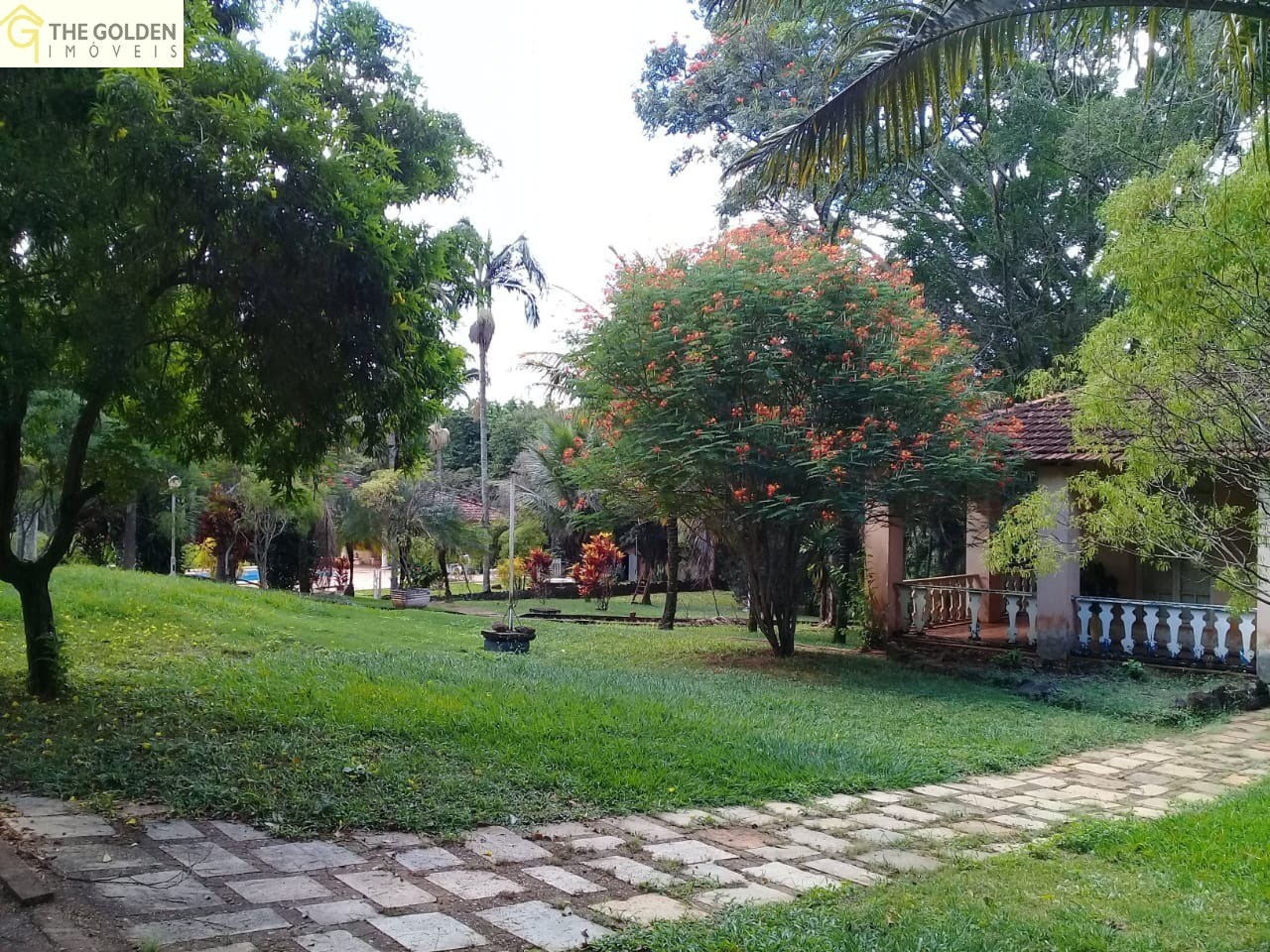 Fazenda à venda com 3 quartos, 180m² - Foto 10