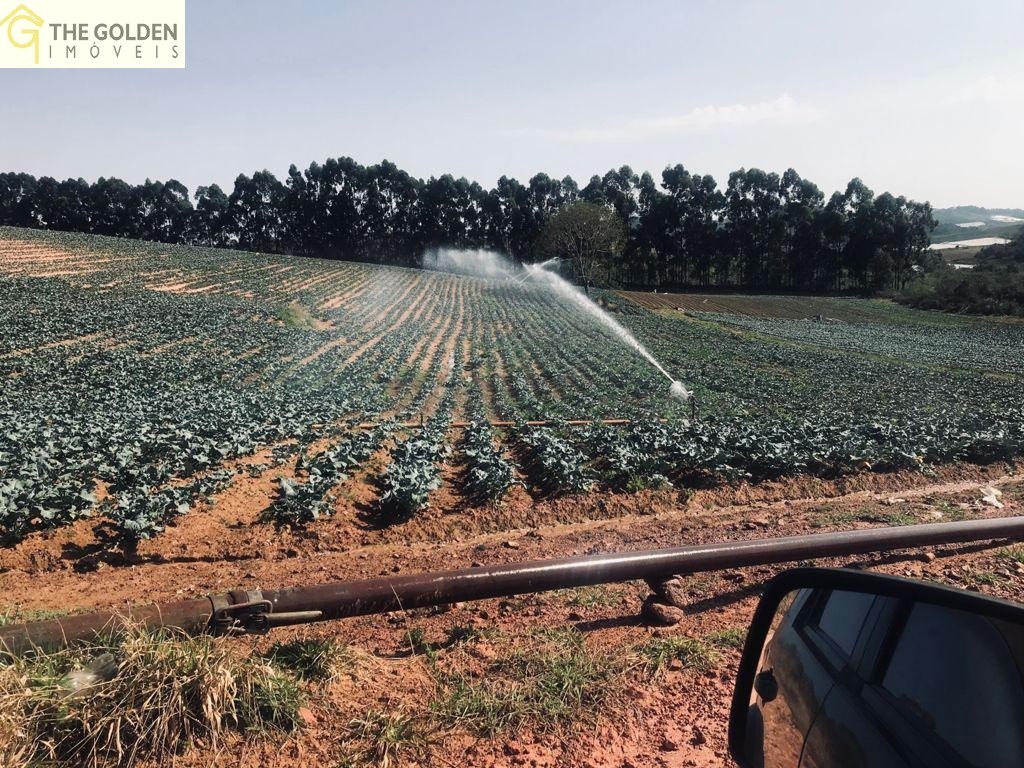 Fazenda à venda com 3 quartos, 73000m² - Foto 3