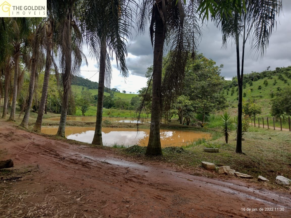 Chácara à venda com 6 quartos, 17000m² - Foto 2