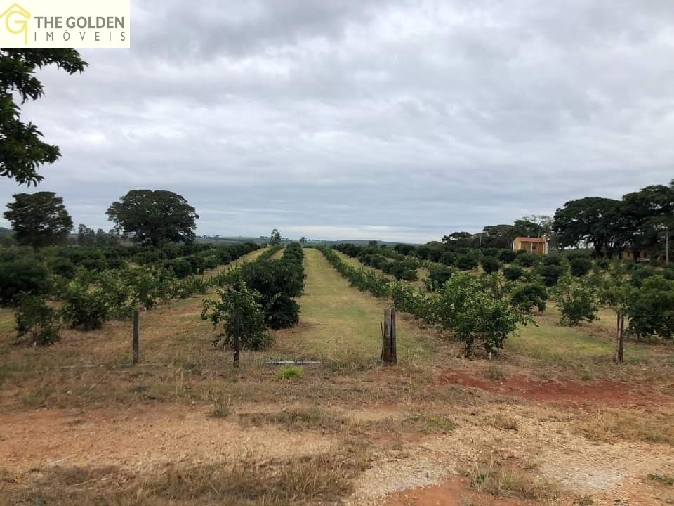 Fazenda à venda com 3 quartos, 180m² - Foto 1