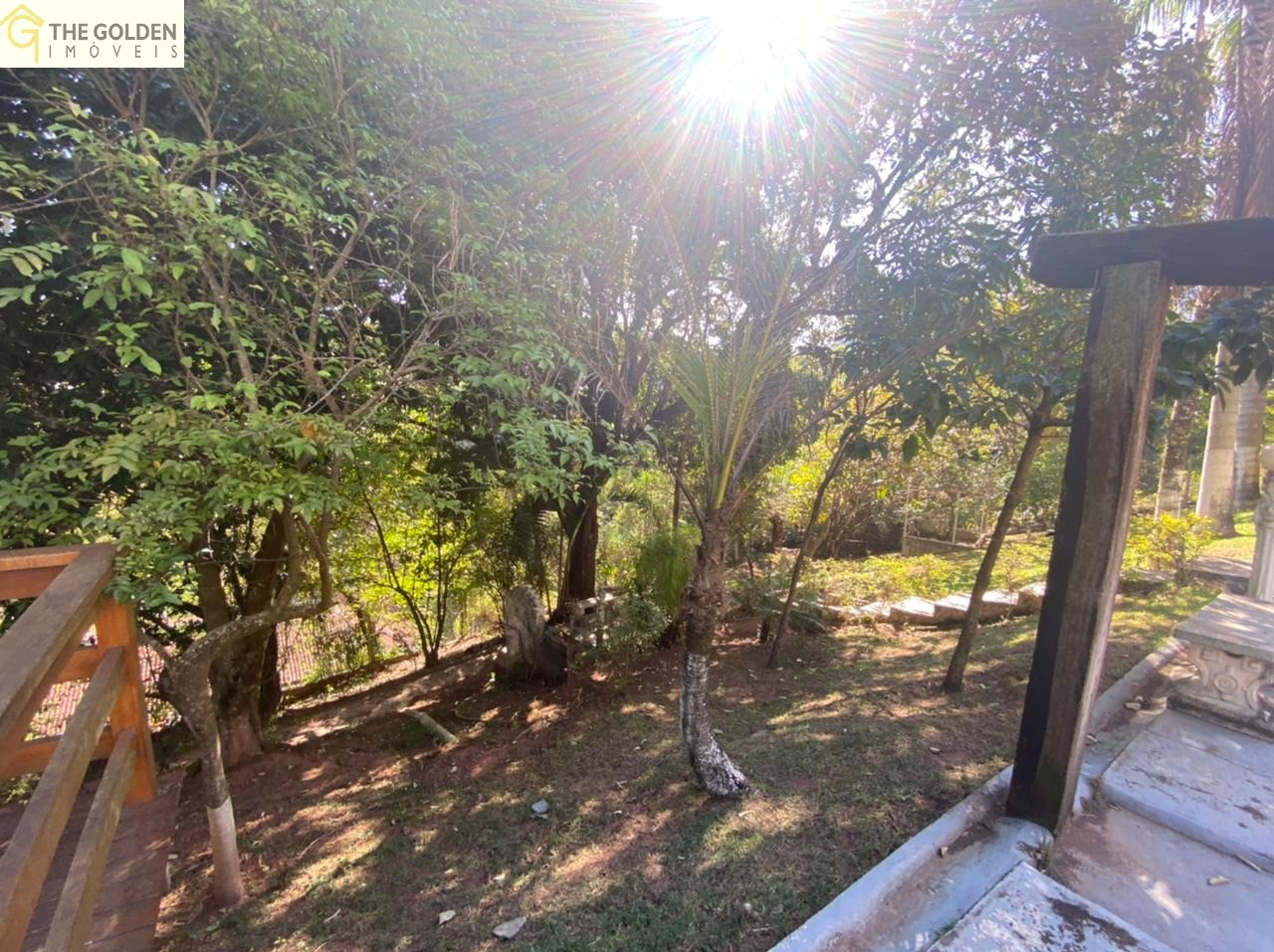 Fazenda à venda com 3 quartos, 2600m² - Foto 18