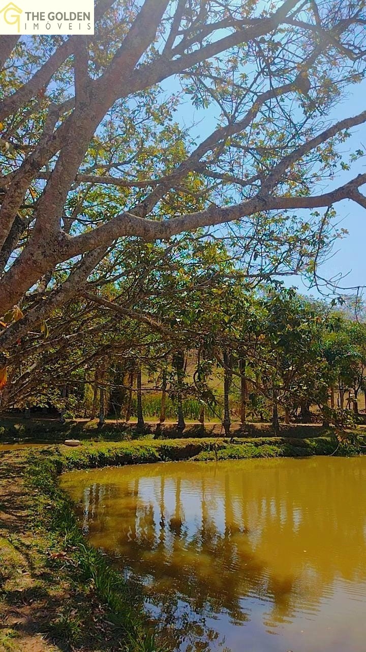 Chácara à venda com 6 quartos, 17000m² - Foto 9