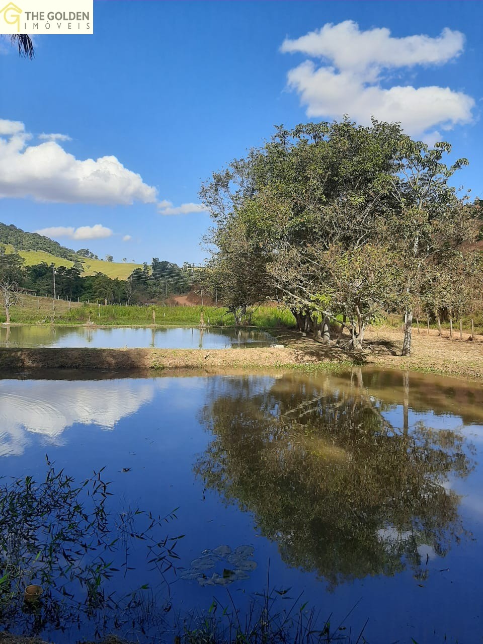 Chácara à venda com 6 quartos, 17000m² - Foto 19