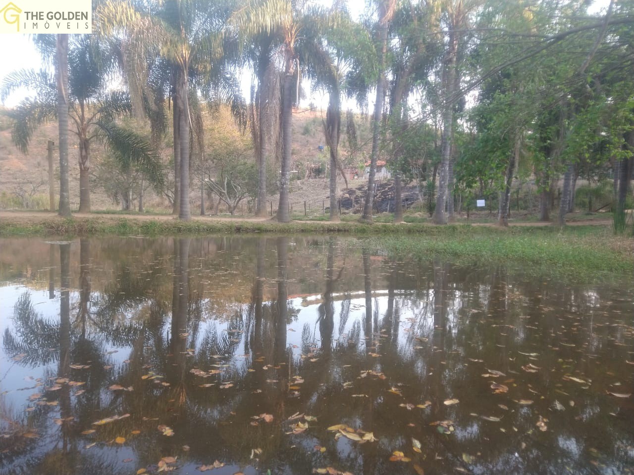 Chácara à venda com 6 quartos, 17000m² - Foto 20