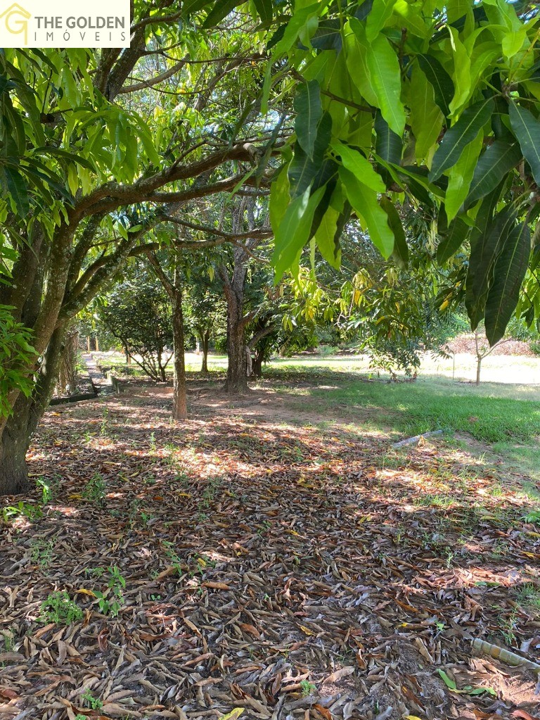 Fazenda à venda com 2 quartos, 60m² - Foto 18