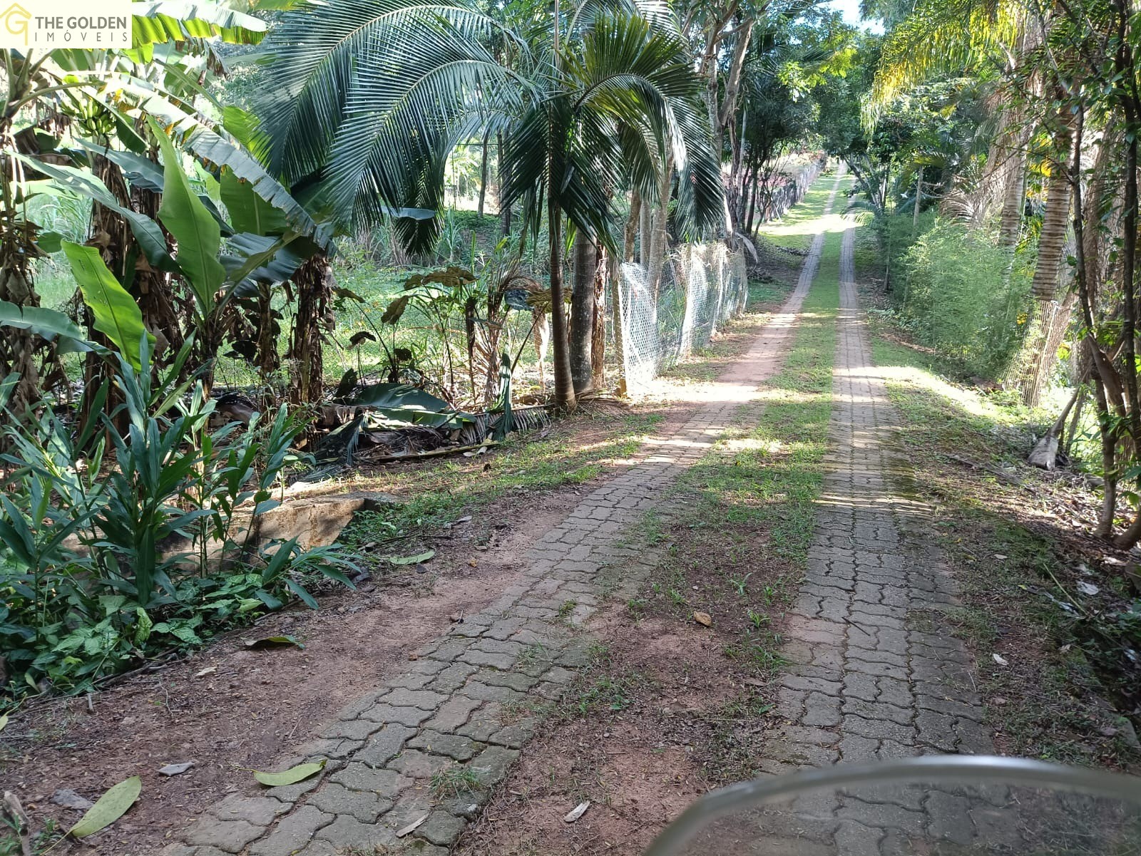 Loteamento e Condomínio à venda, 5000m² - Foto 3